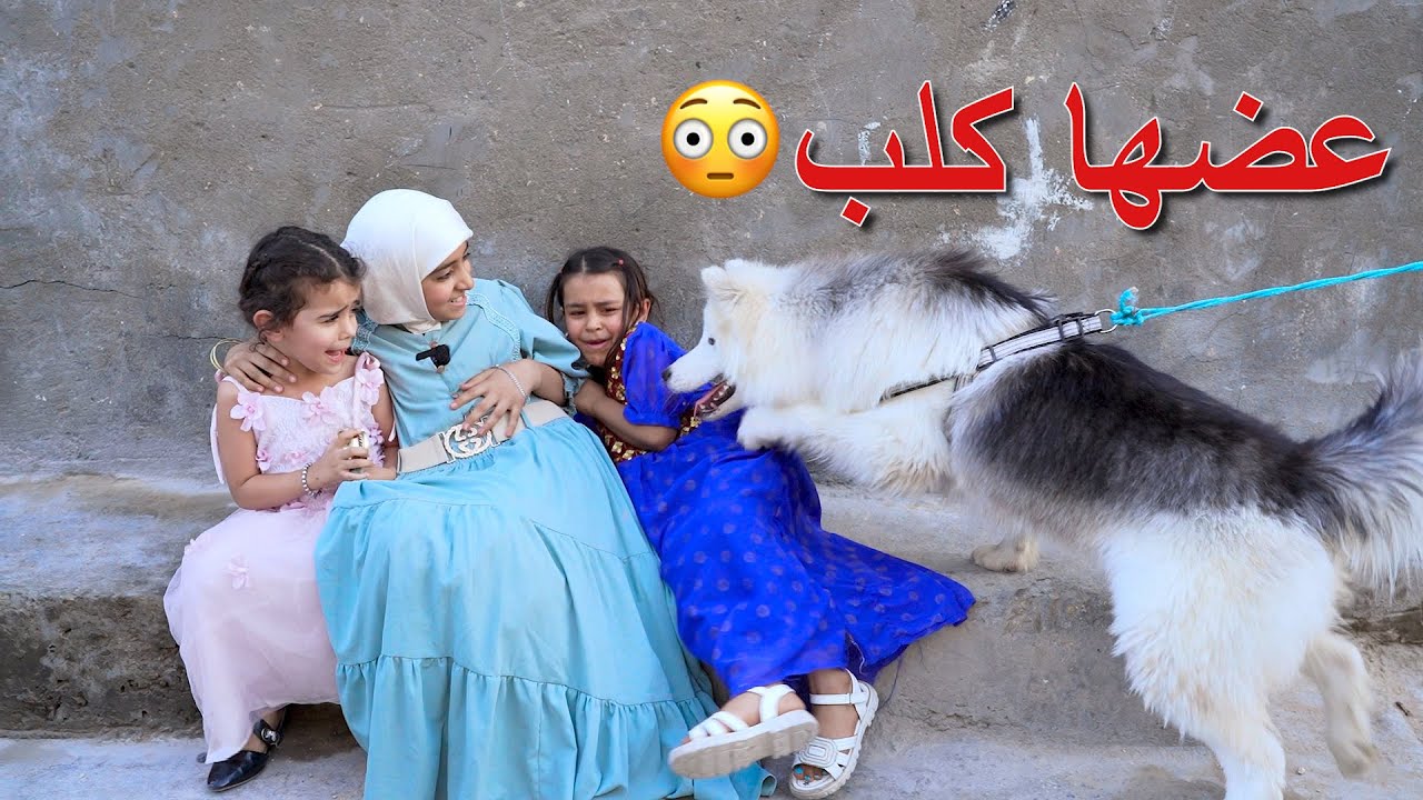 Latest Title & Thumbnail