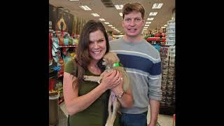 4P4L 2019 Adoptions