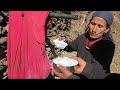 Rural Village Daily Life with Organic Food 🌿 | Peaceful Life Original Song By Roshan Singh #explore