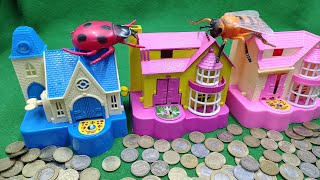 Live ASMR Puppy Coin Collector – Most Satisfying Ever