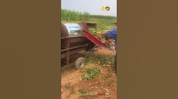 Best farming work : Separation peanuts technology machine
