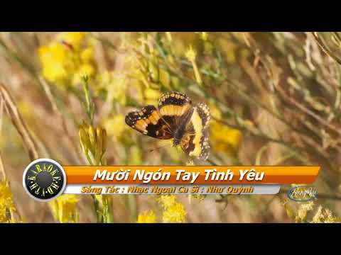 Video KARAOKE Mười Ngón Tay Tình yêu | BEAT chuẩn Tone Nữ |... - youtube