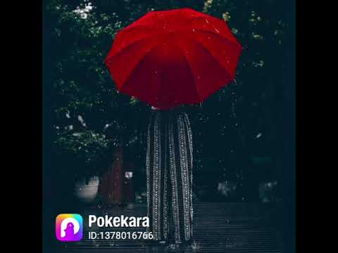 ブッダのようにように私は死んだ/坂本冬美　（Cover）UTALOVE💕あっちゃん🎶
