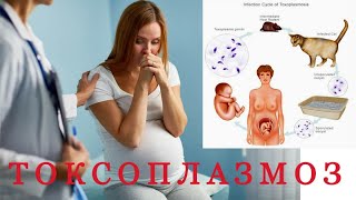 Чего следует опасаться во время беременности! Чего следует опасаться во время беременности!