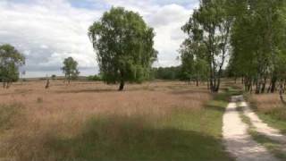 Limburg, Nationaal park De Hamert  in Arcen