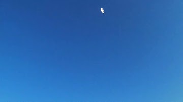 Flying on a hot summer evening with the ZOHD Dart 635mm Sweepforward