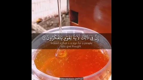 وأوحى ربك إلى النحل القارئ/ هزاع البلوشي الوصف⤵️⤵️