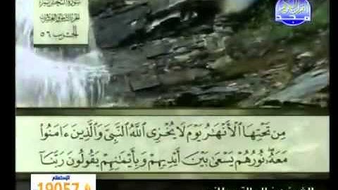 66 سورة التحريم الشيخ خالد القحطاني