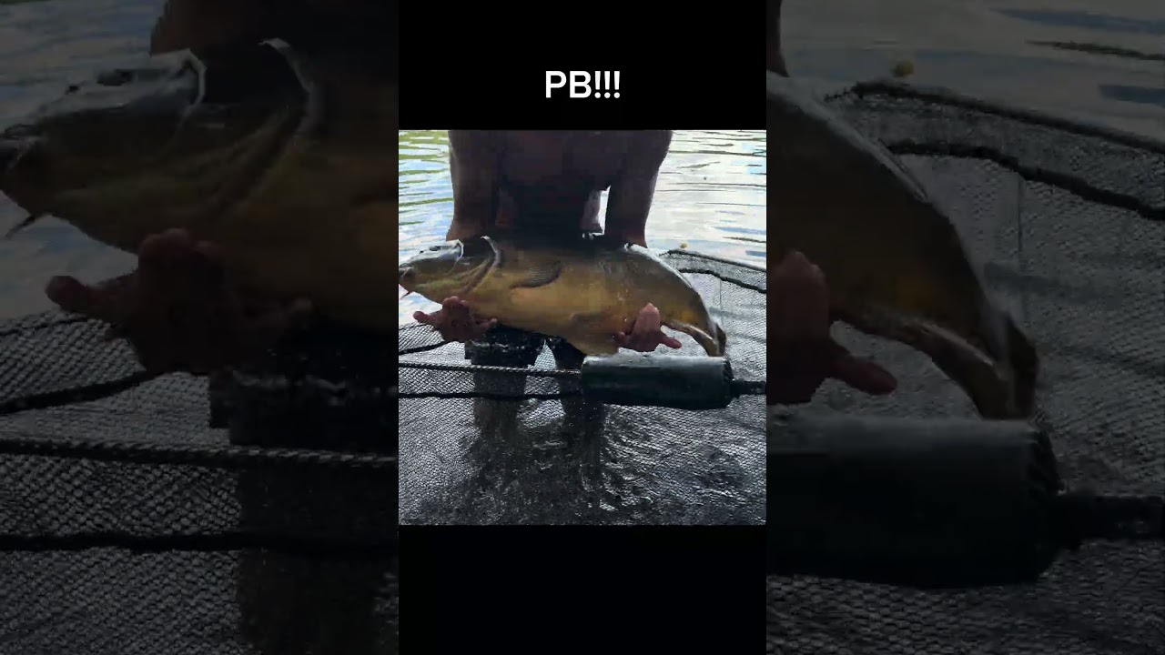 Lasst uns angeln gehen! 