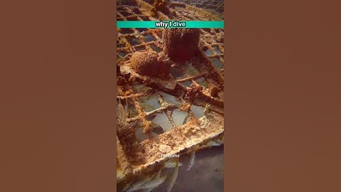 Why I Dive 57B- Turks and Caicos, the Dome