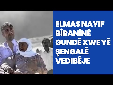 Hunermend Zendîn Silêman Balkişand ser Komkujiya Şengale Fermana 3'yê Tebaxê nirxand