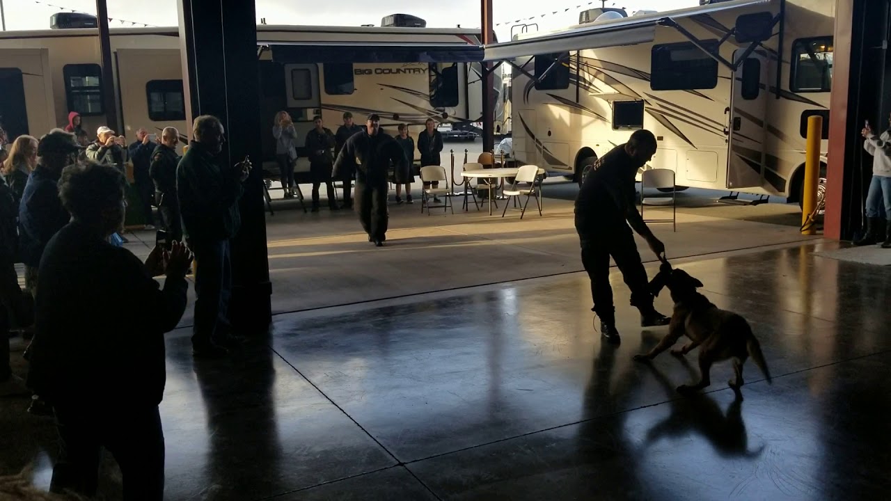 Prescott Valley Police show off their new K9s YouTube