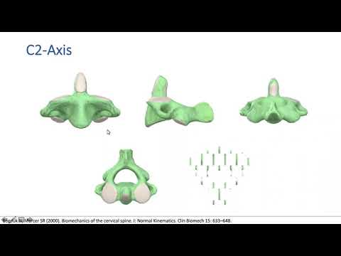 Anatomía de la columna vertebral