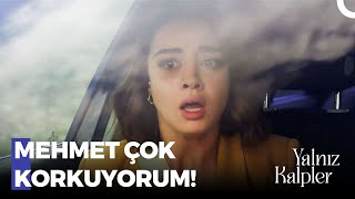 Yalvarırım Bırak Beni❗ - Yalnız Kalpler 81. 
