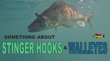 Stinger Hooks and Walleyes