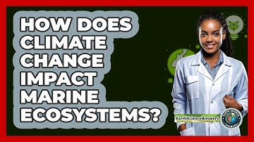 How Does Climate Change Impact Marine Ecosystems? - Earth Science Answers