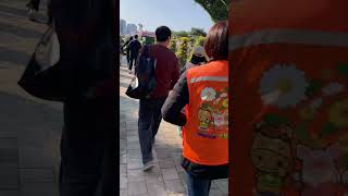 #Korea travel#한국명소#충남#홍성#홍주읍성#홍성글로벌바베큐축제#홍성국화전시회#충남국화#국화#바베큐축제#South Korea