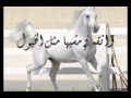 بحر المشاعر خالد عبدالرحمن بحر المشاعر خالد عبدالرحمن