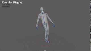 Human Body Rig Demo