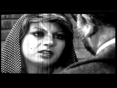 پناه بر خدا پیرمرد تو جای پدر مرجانی فیلم تنها حامی