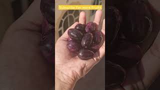 Jamun Season is Here! 💜 The King of Summer Fruits 😍 #viral #trending #trendingshorts #ytshorts