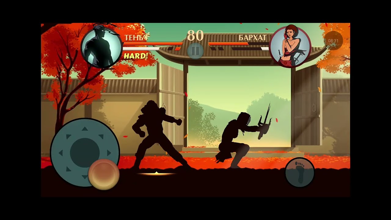 Теневой путь 