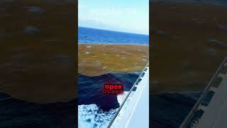 The Island That Shouldnt Exist