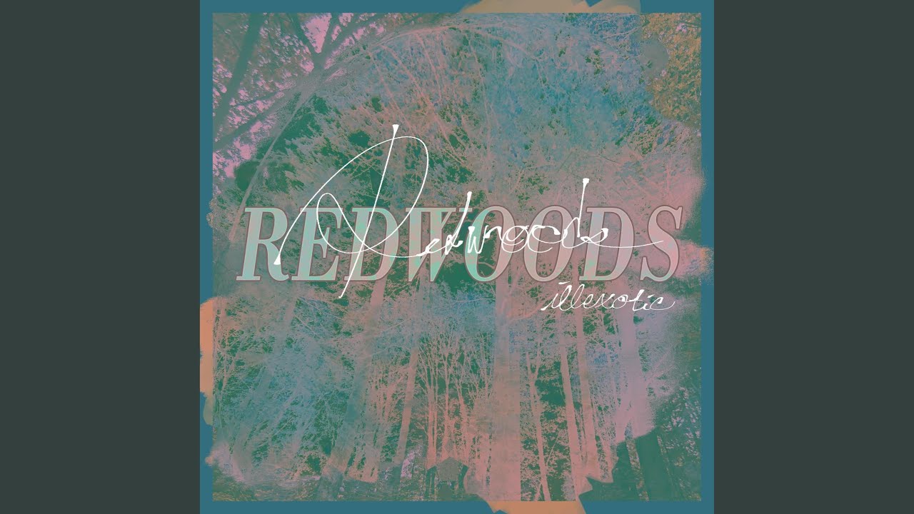 Redwoods auf YouTube ansehen Redwoods auf YouTube ansehen