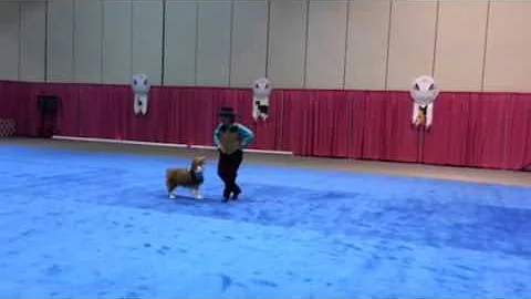 Susan Brogan freestyle