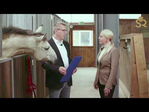Zertifikats-Übergabe TÜV Nord  - Pferdetrainerausbildung / Ausbildung zur Pferdetrainerin