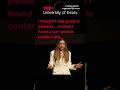 Rhino Tragedy: The Brutal Reality of Poaching in Africa #tedx  #shortsvideo  #shortvideo