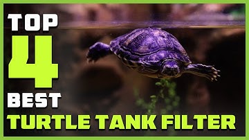 Top 4 Best Turtle Tank Filter for Freshwater and Saltwater Aquariums Review in 2026