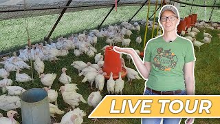 Pastured Poultry Farm Tour at Heifer Ranch