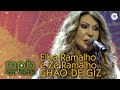 Chão de Giz - Elba Ramalho e Zé Ramalho (DVD MPB em Cena)