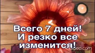 🔥 Всего 7 дней и В ЖИЗНИ РЕЗКО ВСЕ ИЗМЕНИТСЯ! 🔥