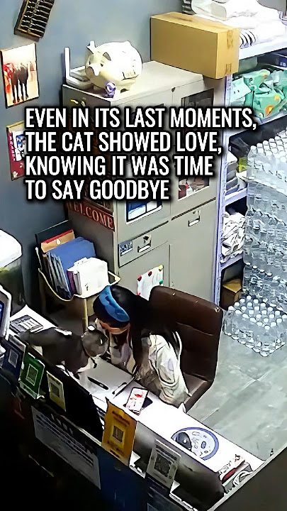 It Made Sure to Say ‘I Love You’ One Last Time😭