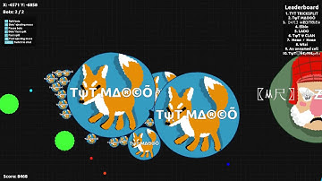 Agar.io Teaming With Random People#1