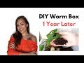 DIY Worm Bin 1 Year Update