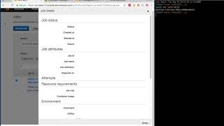 Funnel + AWS Batch demo