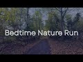 Rhythmic Running Through Nature - Background Noise for Sleep