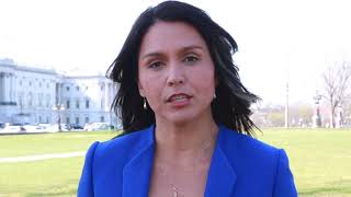 Tulsi Gabbard on Military, Syria, and US Interests