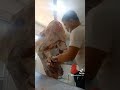 Deboning of Cow