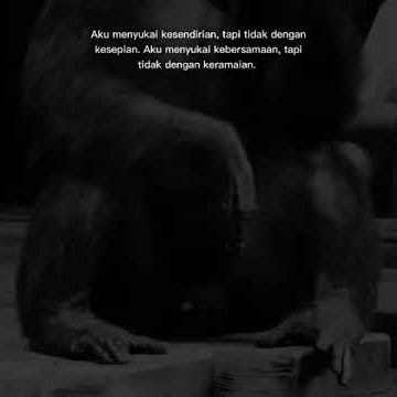 Story wa 30 detik aku menyukai kesendirian tapi tidak dengan kesepian terbaru2021