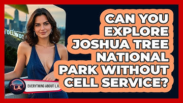 Can You Explore Joshua Tree National Park Without Cell Service? - Everything About LA