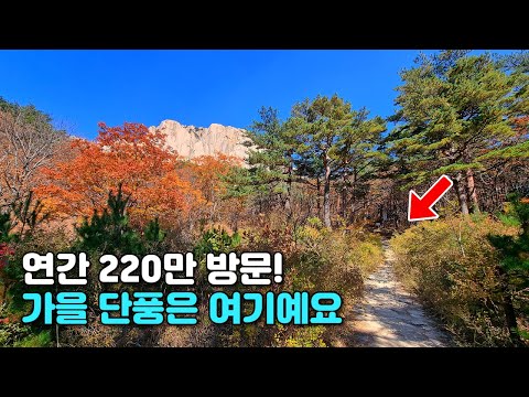 🍁 每年220万人访问的今秋 'Best View' 枫叶路线 | 🚇 韩国国内公共交通一日游 | 徒步路线