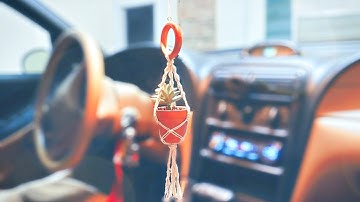 HOW TO: DIY Mini Macrame Plant Hanger