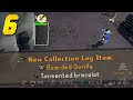 This pker sent me to the bearded gorillas insane luck collection log completionist 6 roat pkz