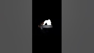 من سورة التوبة الآية 118 للشيخ المنشاوي رحمه الله