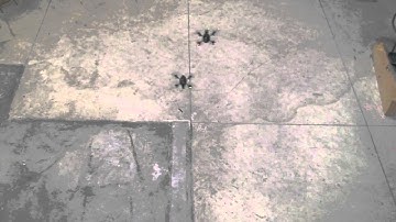 Time Coordinated 3D Path Following of Multiple Quadrotors