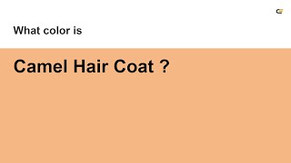 Camel Hair Coat color #f5b784 hex Cool Orange color f5b784